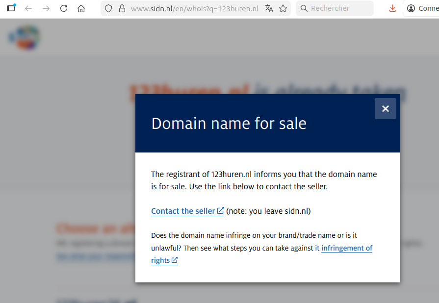 sidn-domain-on-sale-2.png